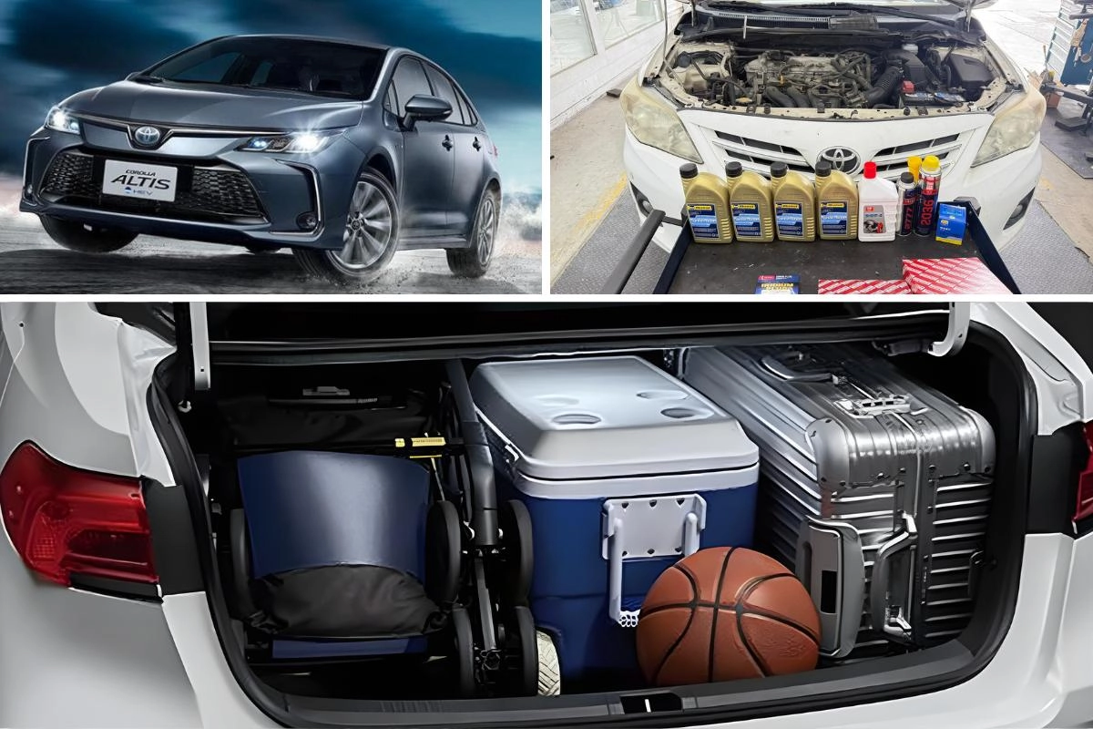 Toyota Altis 保養成本低、空間大，非常適合家庭用車或是代步